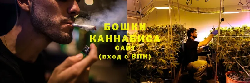 MEGA зеркало  магазин    Западная Двина  Марихуана THC 21% 